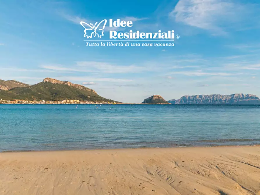 Immagine 5 di Appartamento in vendita  in via dell'iris a Golfo Aranci