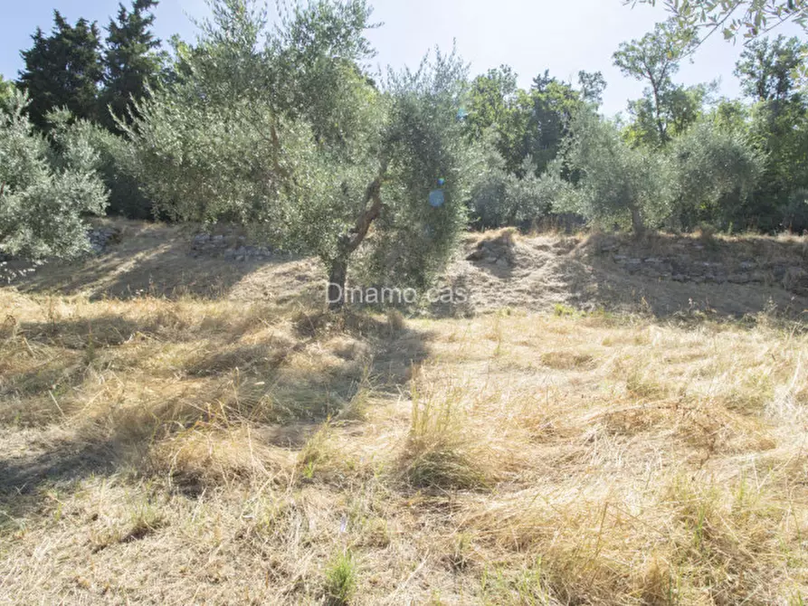 Immagine 4 di Terreno in vendita  a Prato