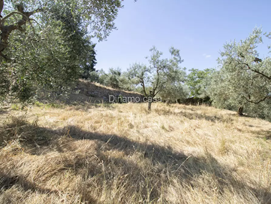 Immagine 5 di Terreno in vendita  a Prato