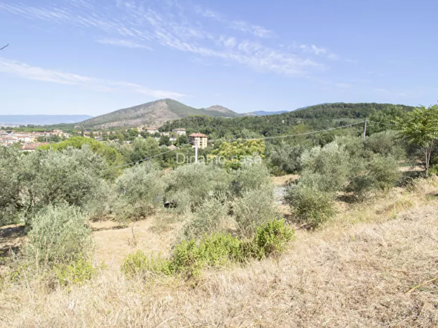 Immagine 6 di Terreno in vendita  a Prato