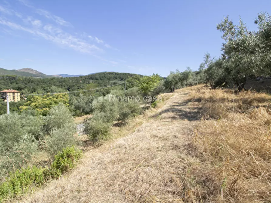 Immagine 7 di Terreno in vendita  a Prato