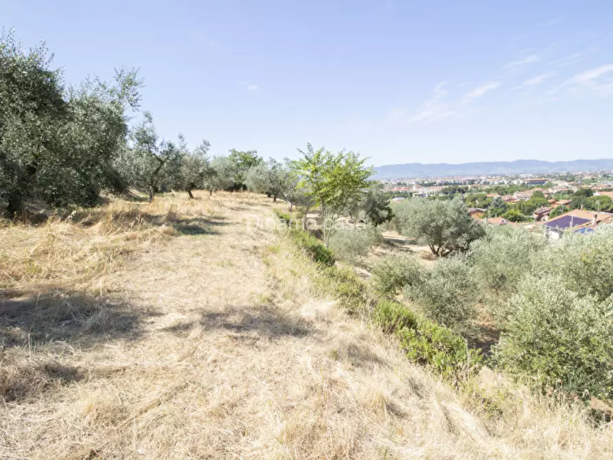 Immagine 8 di Terreno in vendita  a Prato