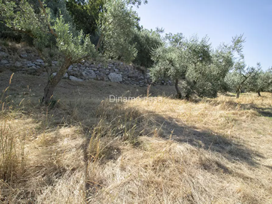 Immagine 10 di Terreno in vendita  a Prato