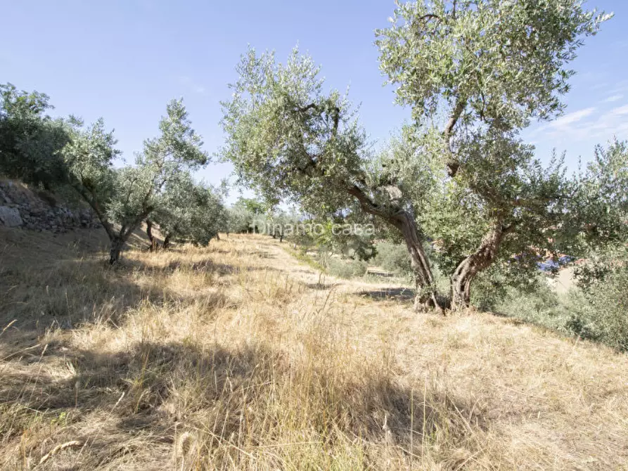 Immagine 12 di Terreno in vendita  a Prato