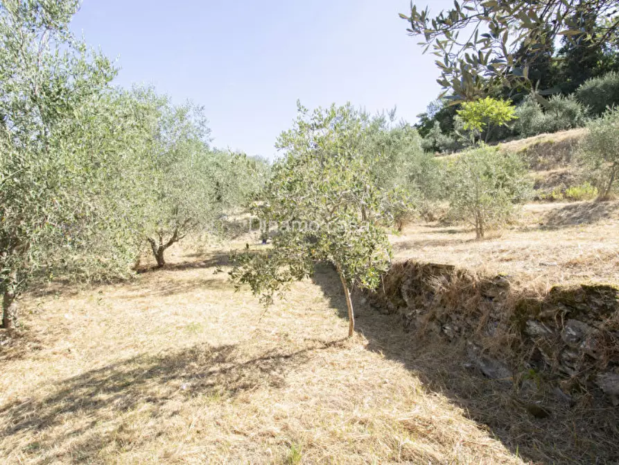 Immagine 14 di Terreno in vendita  a Prato