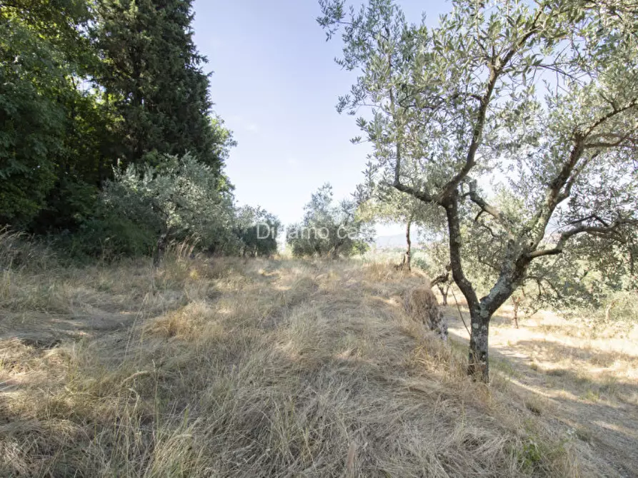 Immagine 15 di Terreno in vendita  a Prato
