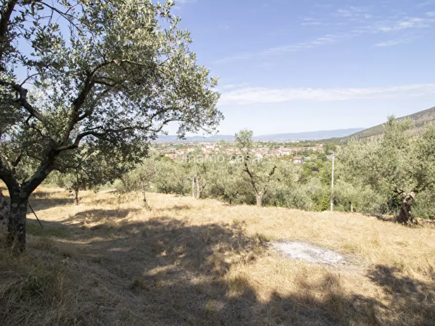 Immagine 16 di Terreno in vendita  a Prato