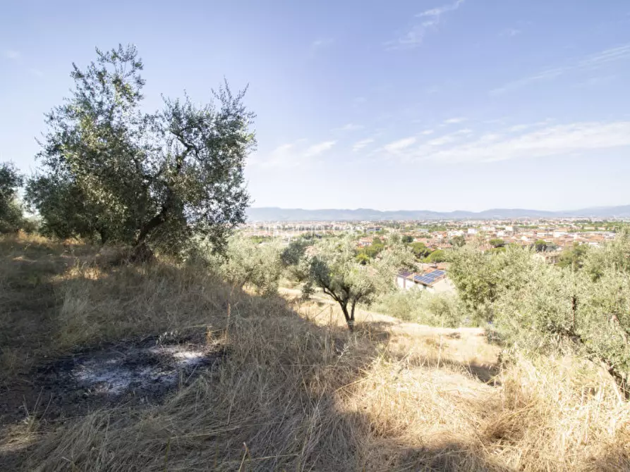 Immagine 17 di Terreno in vendita  a Prato