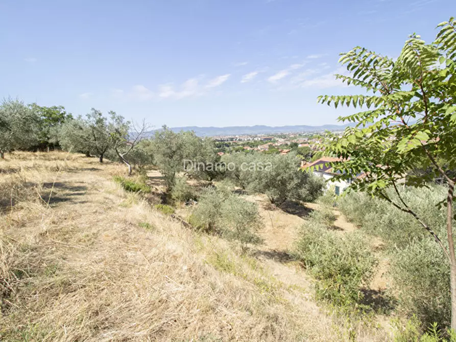 Immagine 18 di Terreno in vendita  a Prato