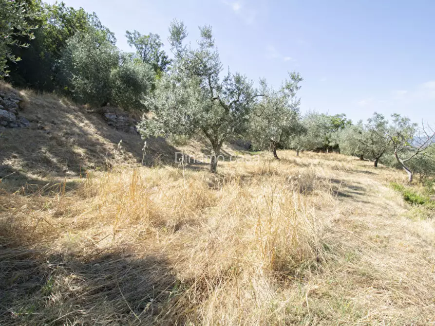 Immagine 19 di Terreno in vendita  a Prato