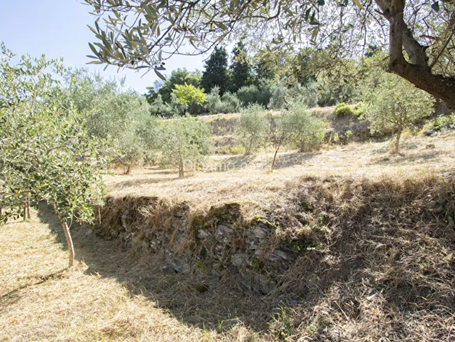 Immagine 23 di Terreno in vendita  a Prato