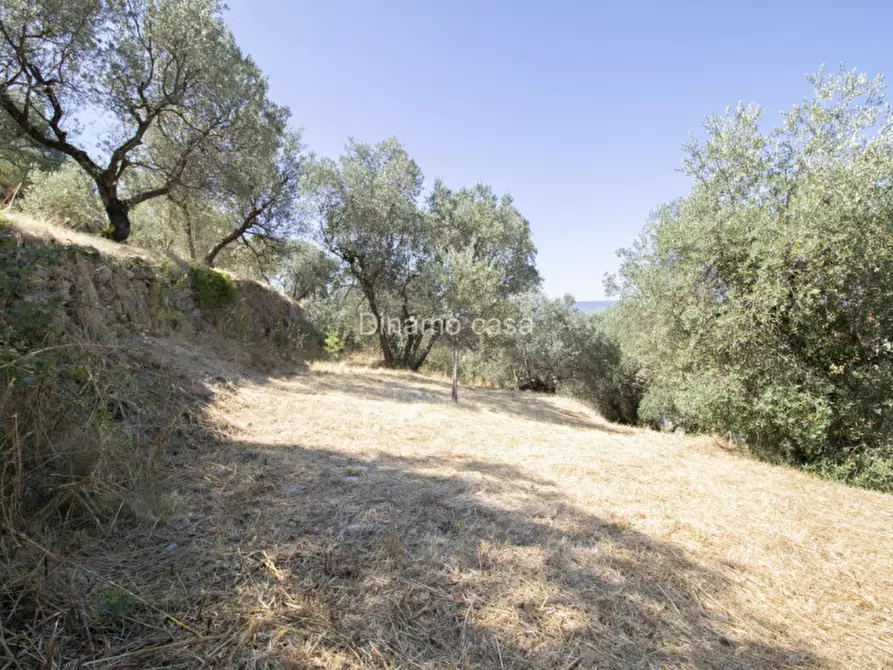 Immagine 24 di Terreno in vendita  a Prato