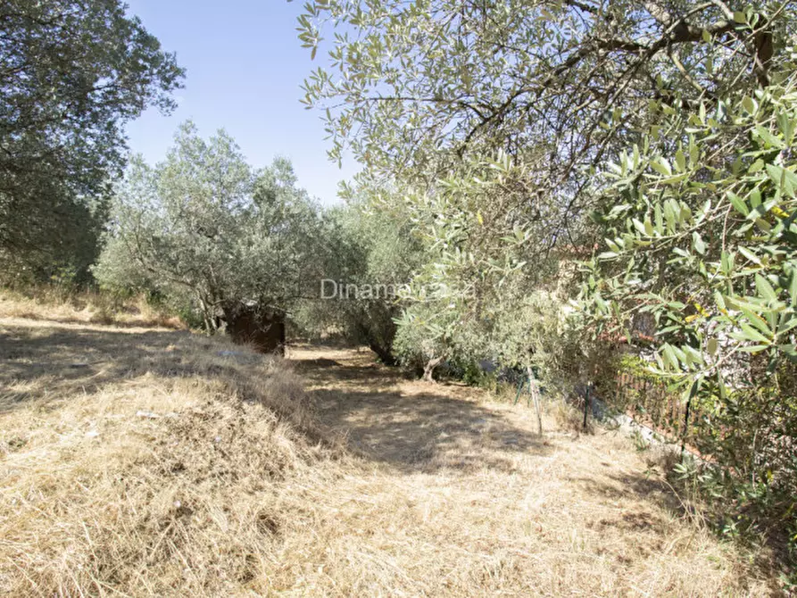 Immagine 25 di Terreno in vendita  a Prato