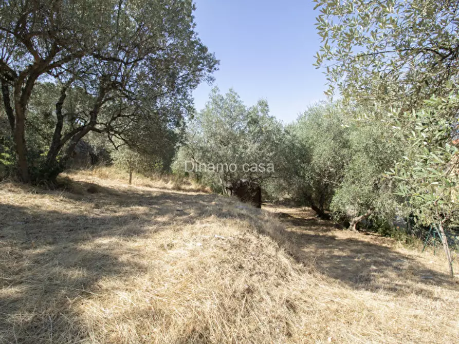 Immagine 26 di Terreno in vendita  a Prato