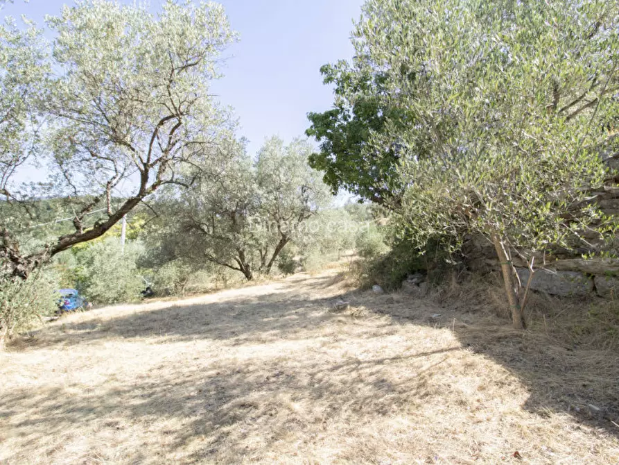 Immagine 28 di Terreno in vendita  a Prato