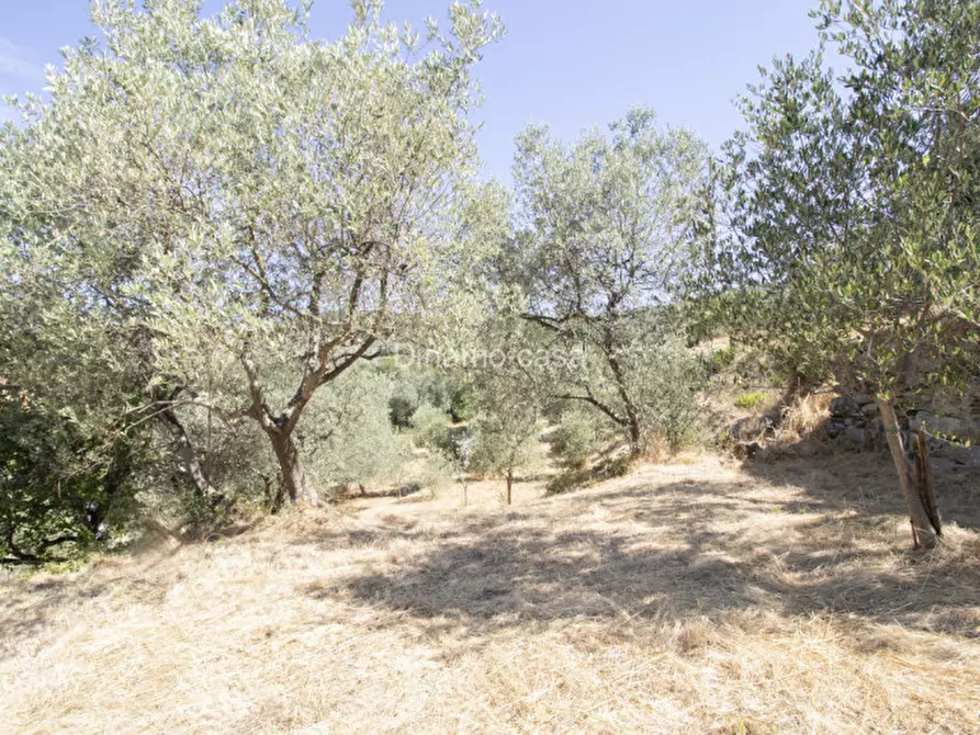 Immagine 29 di Terreno in vendita  a Prato