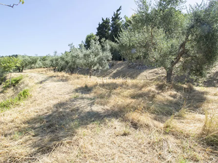 Immagine 30 di Terreno in vendita  a Prato