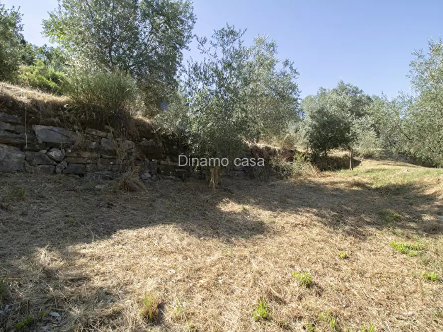 Immagine 31 di Terreno in vendita  a Prato