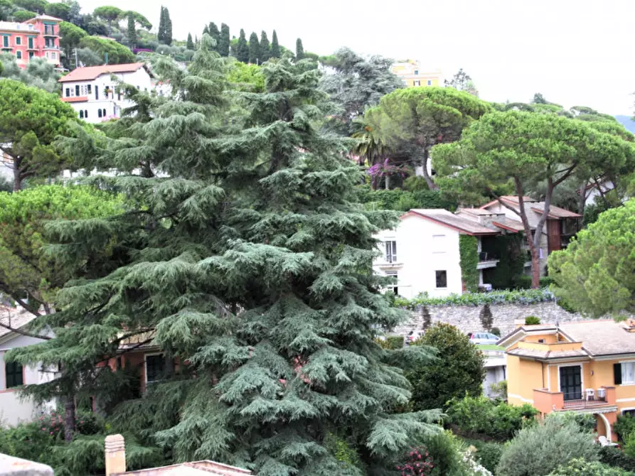 Immagine 7 di Appartamento in vendita  in Corso Nicolo Cuneo 30E a Santa Margherita Ligure