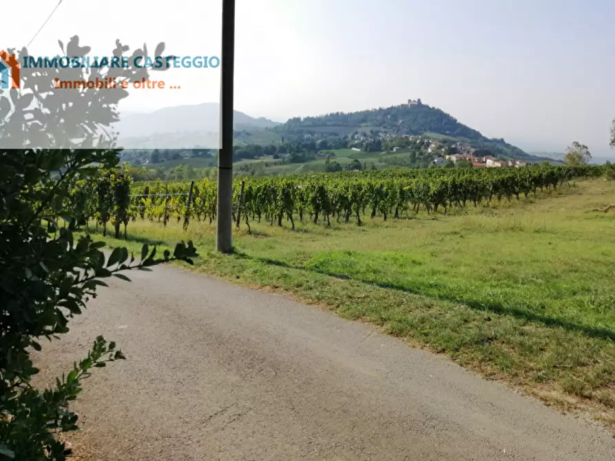 Immagine 8 di Villa in vendita  in Via Belvedere a Montalto Pavese