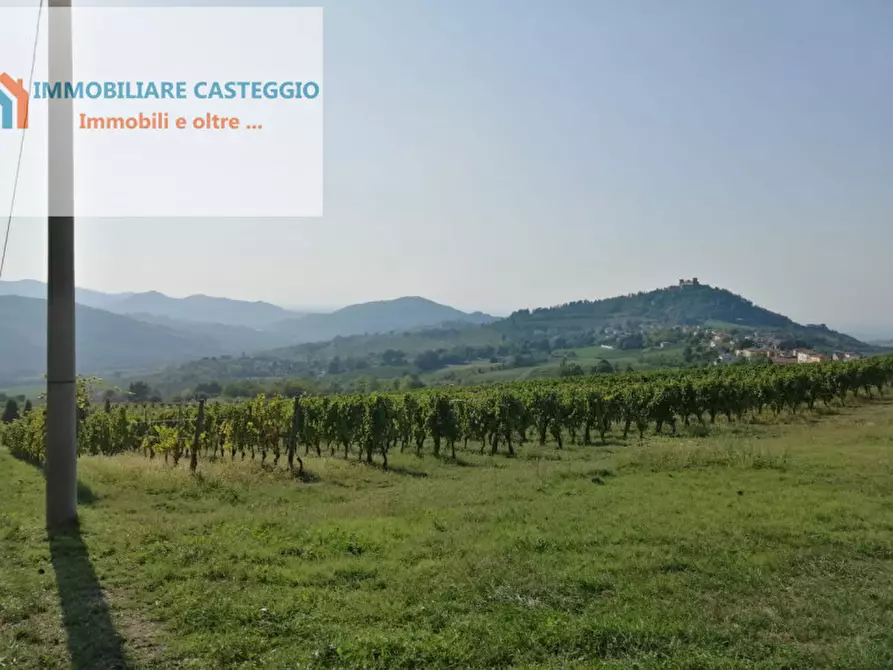 Immagine 16 di Villa in vendita  in Via Belvedere a Montalto Pavese