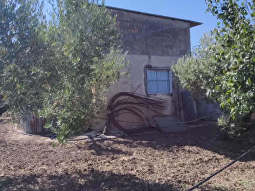 Immagine 21 di Rustico / casale in vendita  in Via Pian del Vicario a Eboli