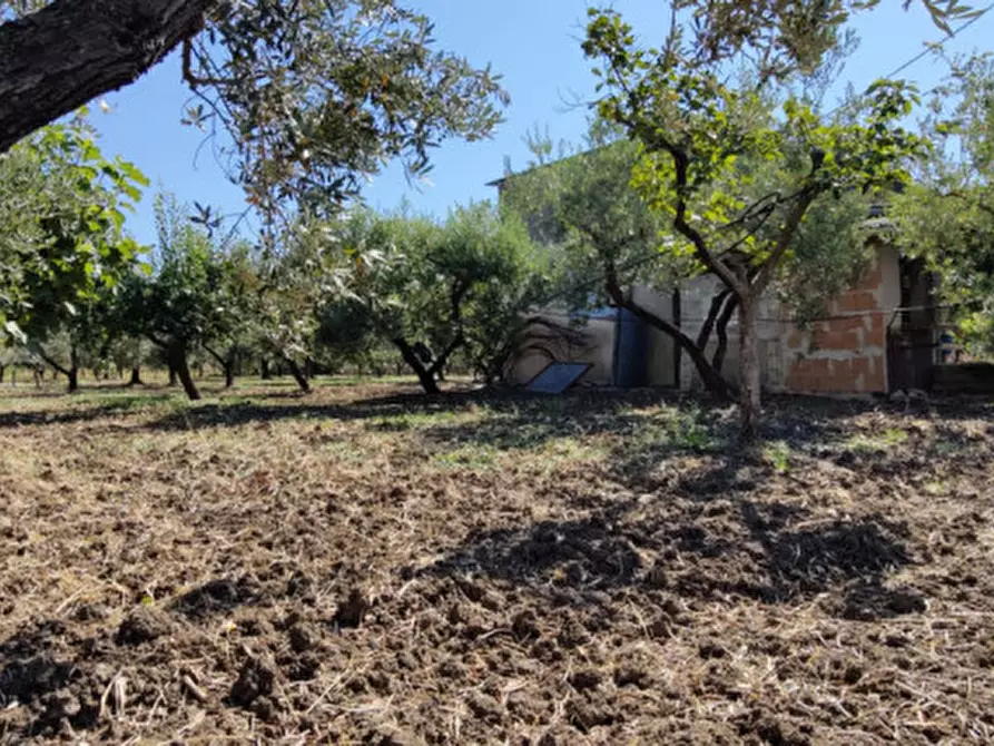 Immagine 23 di Rustico / casale in vendita  in Via Pian del Vicario a Eboli