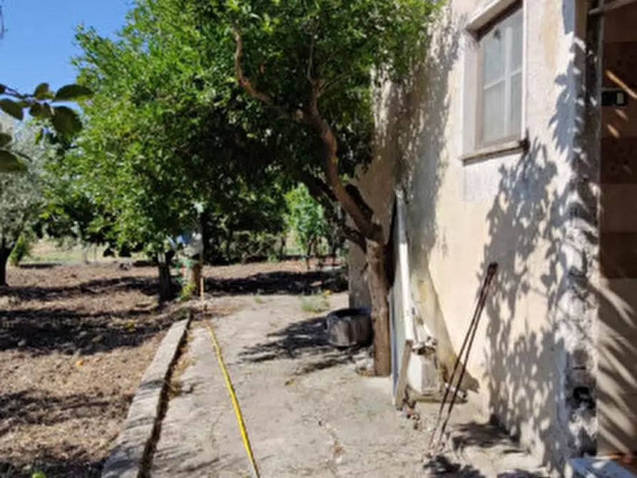 Immagine 29 di Rustico / casale in vendita  in Via Pian del Vicario a Eboli