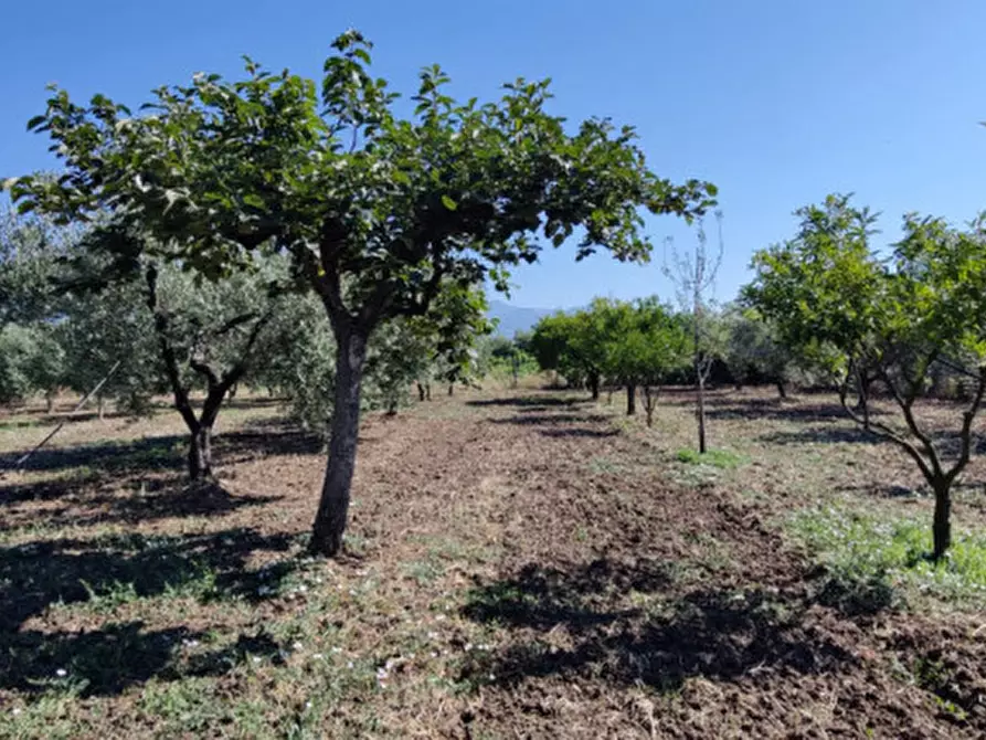 Immagine 30 di Rustico / casale in vendita  in Via Pian del Vicario a Eboli