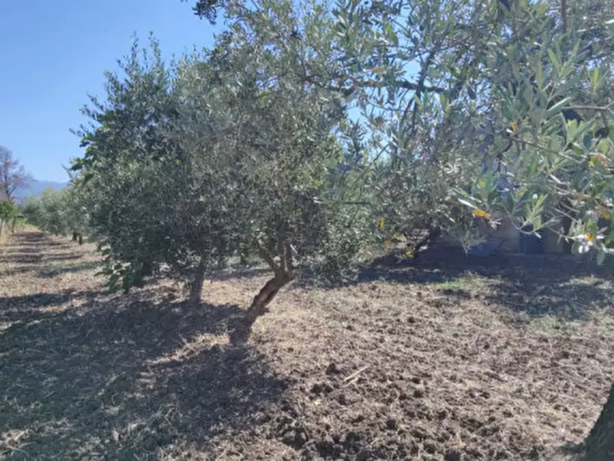 Immagine 31 di Rustico / casale in vendita  in Via Pian del Vicario a Eboli