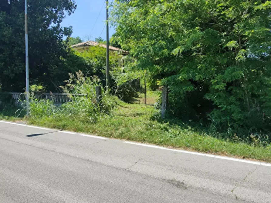 Immagine 4 di Casa indipendente in vendita  in Via Bagnara a Gruaro