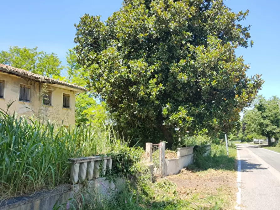 Immagine 7 di Casa indipendente in vendita  in Via Bagnara a Gruaro
