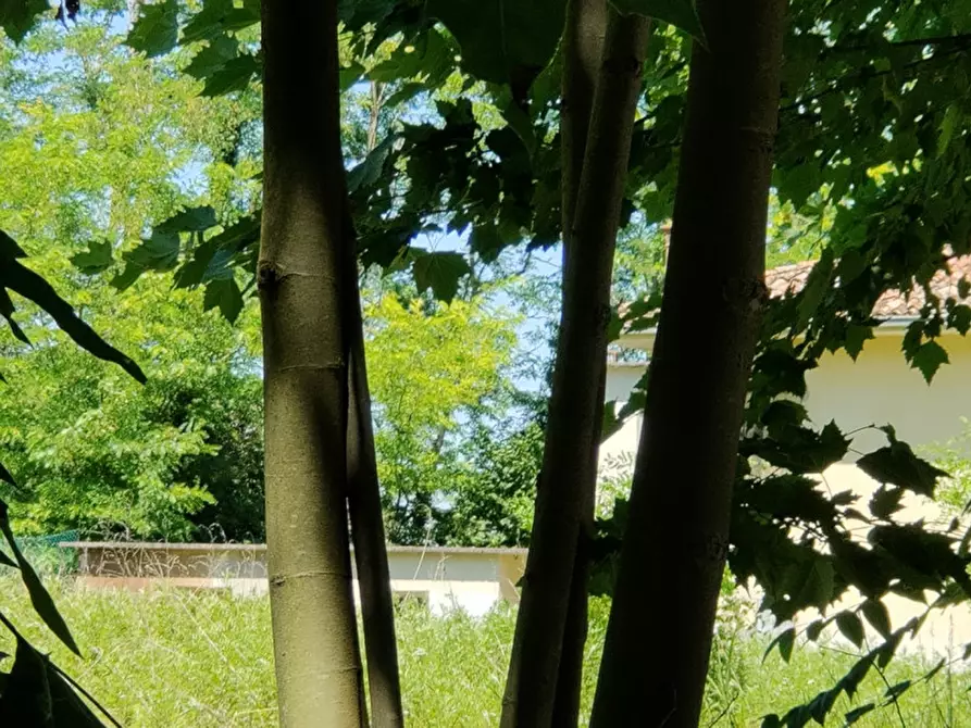 Immagine 8 di Casa indipendente in vendita  in Via Bagnara a Gruaro