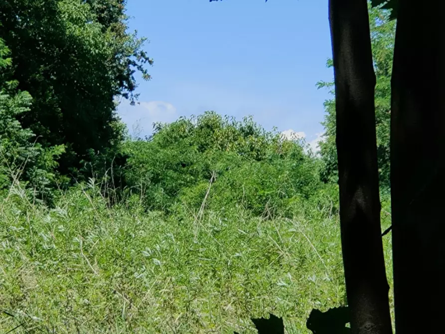 Immagine 10 di Casa indipendente in vendita  in Via Bagnara a Gruaro