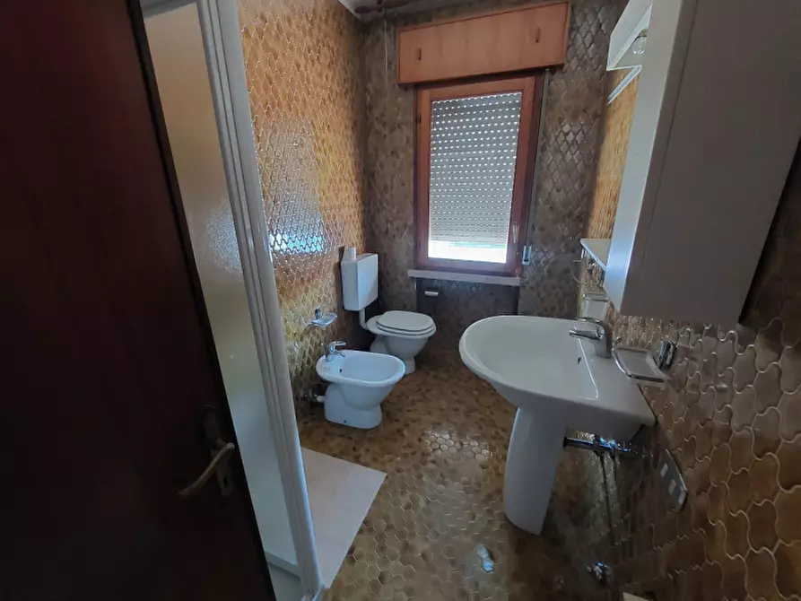 Immagine 11 di Appartamento in vendita  a Badia Polesine