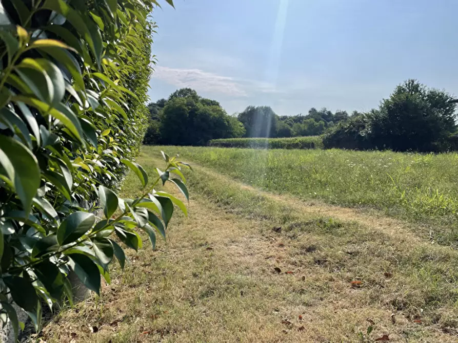 Immagine 8 di Terreno in vendita  in Via Monte Grappa a Fonte