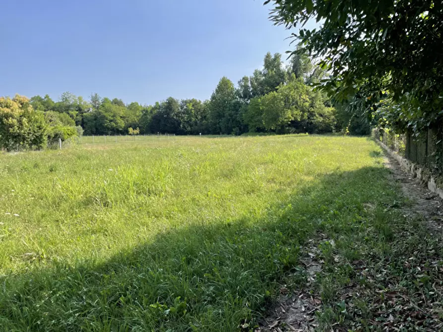 Immagine 10 di Terreno in vendita  in Via Monte Grappa a Fonte