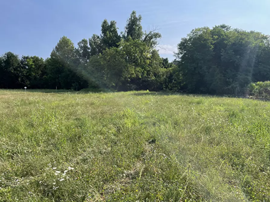 Immagine 11 di Terreno in vendita  in Via Monte Grappa a Fonte