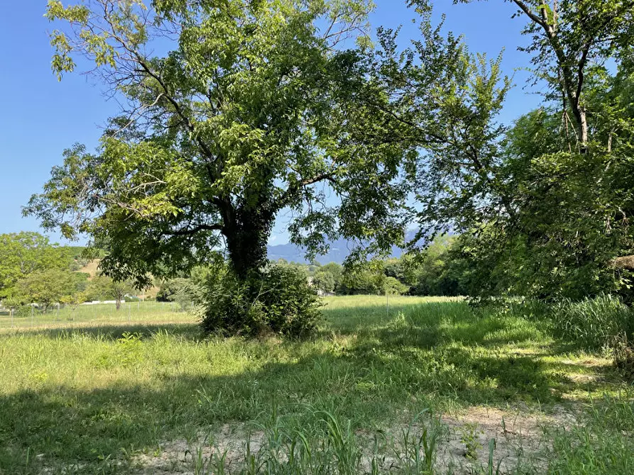 Immagine 13 di Terreno in vendita  in Via Monte Grappa a Fonte