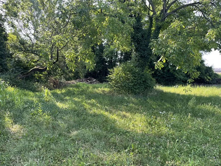 Immagine 14 di Terreno in vendita  in Via Monte Grappa a Fonte