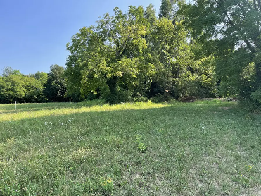 Immagine 17 di Terreno in vendita  in Via Monte Grappa a Fonte