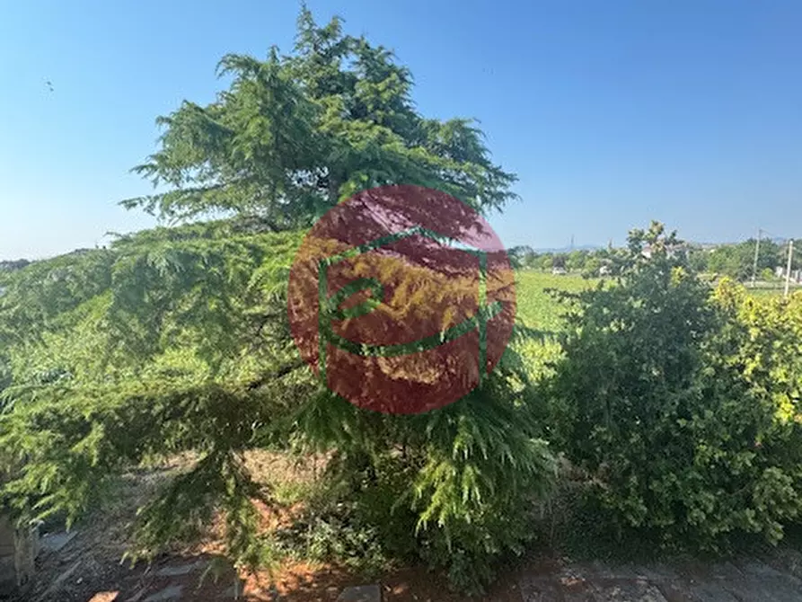 Immagine 7 di Casa indipendente in vendita  a Gatteo