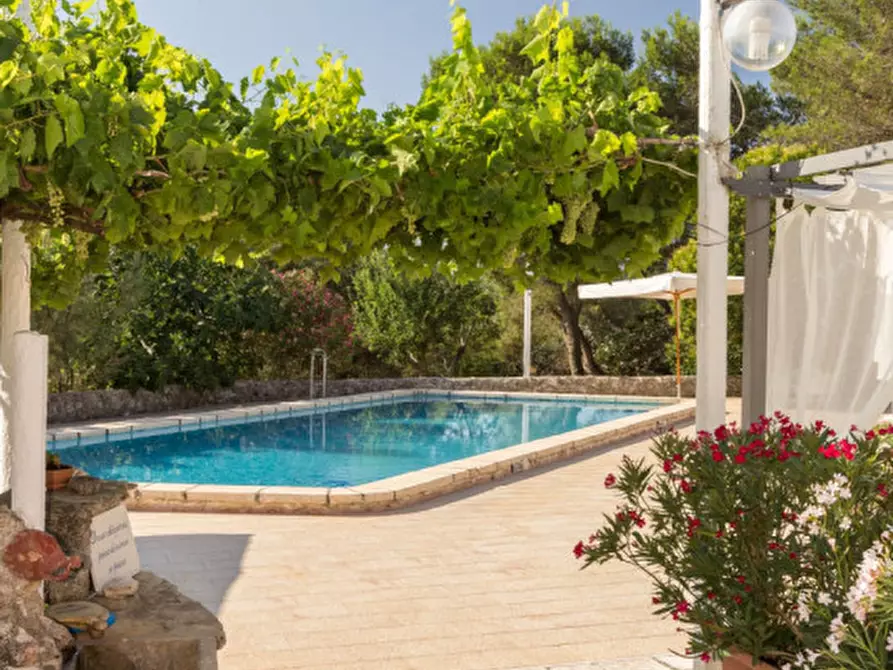 Immagine 139 di Rustico / casale in vendita  in strada nove casette a Martina Franca