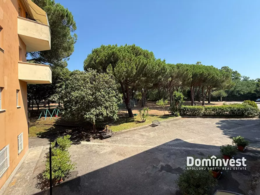 Immagine 16 di Appartamento in vendita  in STRADA PESCIA FIORENTINA CHIARONE a Capalbio