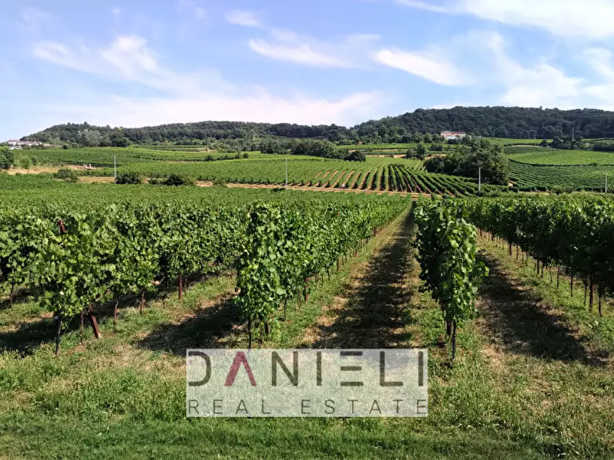 Immagine 15 di Villetta a schiera in vendita  in Via Graone di Sotto a Sarego