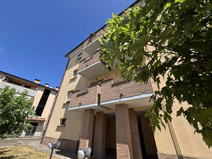 Immagine 25 di Appartamento in vendita  in Via Napoli,5 a Colorno
