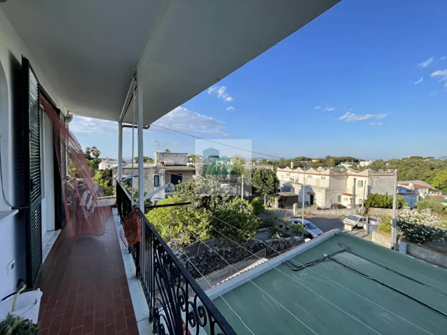 Immagine 15 di Appartamento in vendita  in via morgioni 55 a Ischia