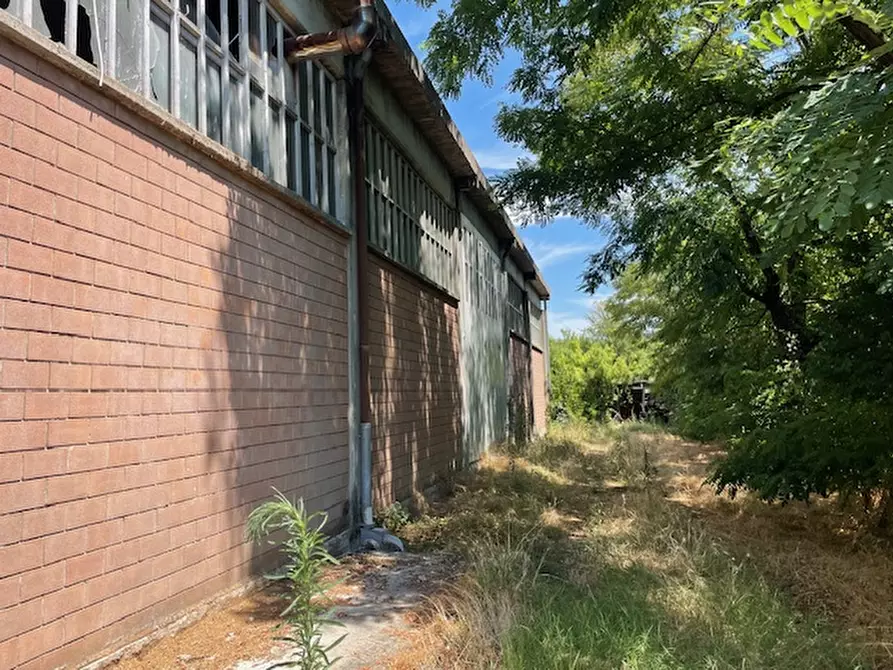Immagine 14 di Capannone industriale in vendita  in Via Bosco 24/A a Scandiano