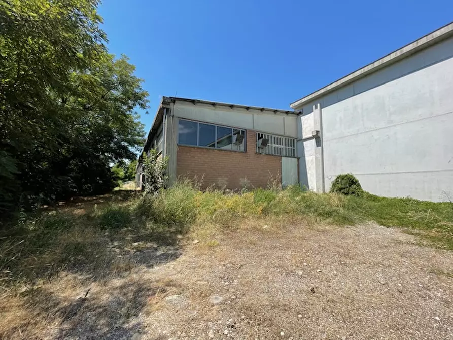 Immagine 15 di Capannone industriale in vendita  in Via Bosco 24/A a Scandiano