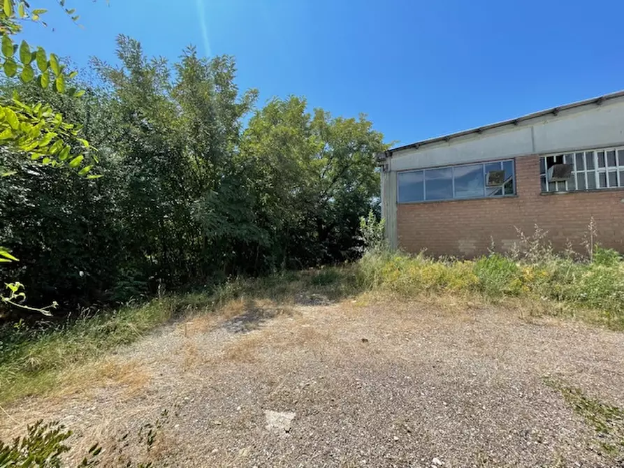 Immagine 16 di Capannone industriale in vendita  in Via Bosco 24/A a Scandiano